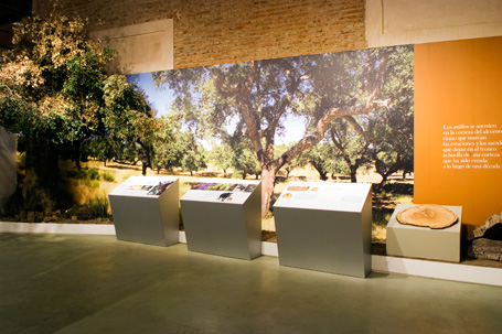Museo de la Identidad del Corcho de San Vicente de Alcántara