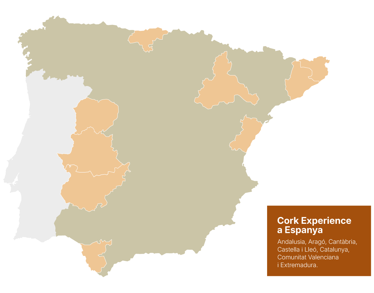 MAPA-EXPERIENCIES-SURERES-ca