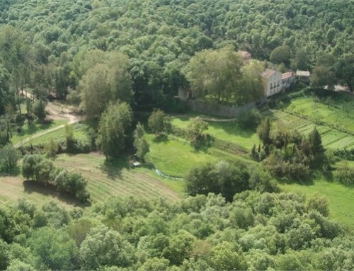 Parque Natural de Montnegre e Corredor