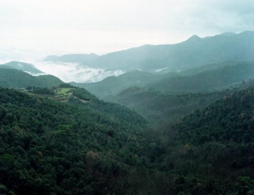 Parque Natural de Montseny