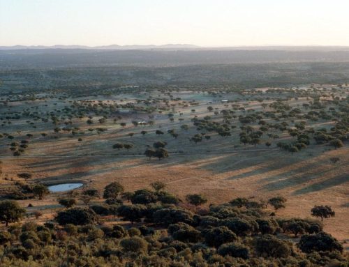 Zona de Interesse Regional Serra de San Pedro