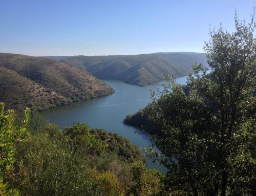 Parque Natural Tejo Internacional