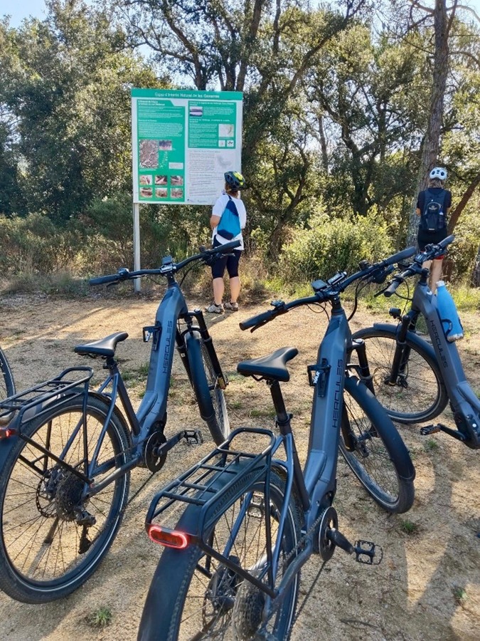 rutes-del-suro-2