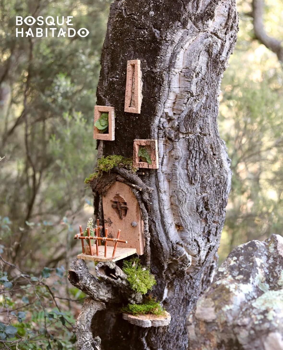2025-04-25-bosque-habitado